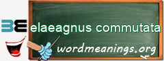 WordMeaning blackboard for elaeagnus commutata